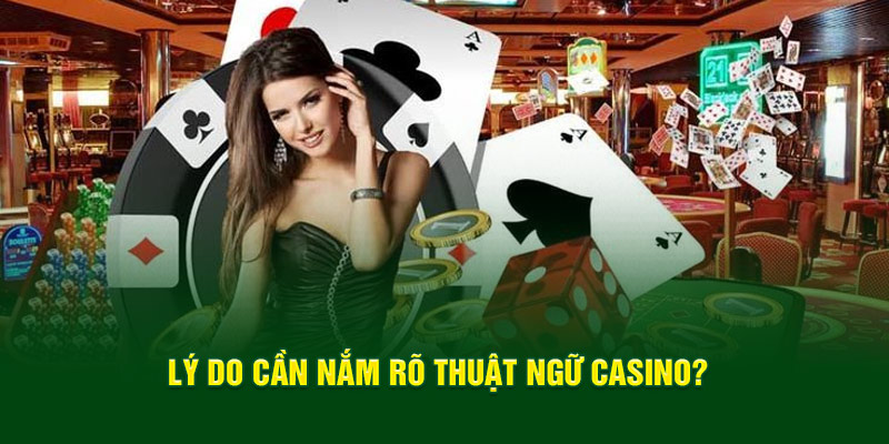 ly-do-can-nam-ro-thuat-ngu-casino